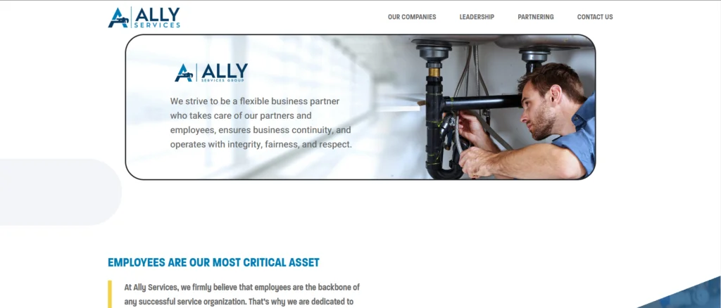 Ally Services Group — Corporate · Professional services