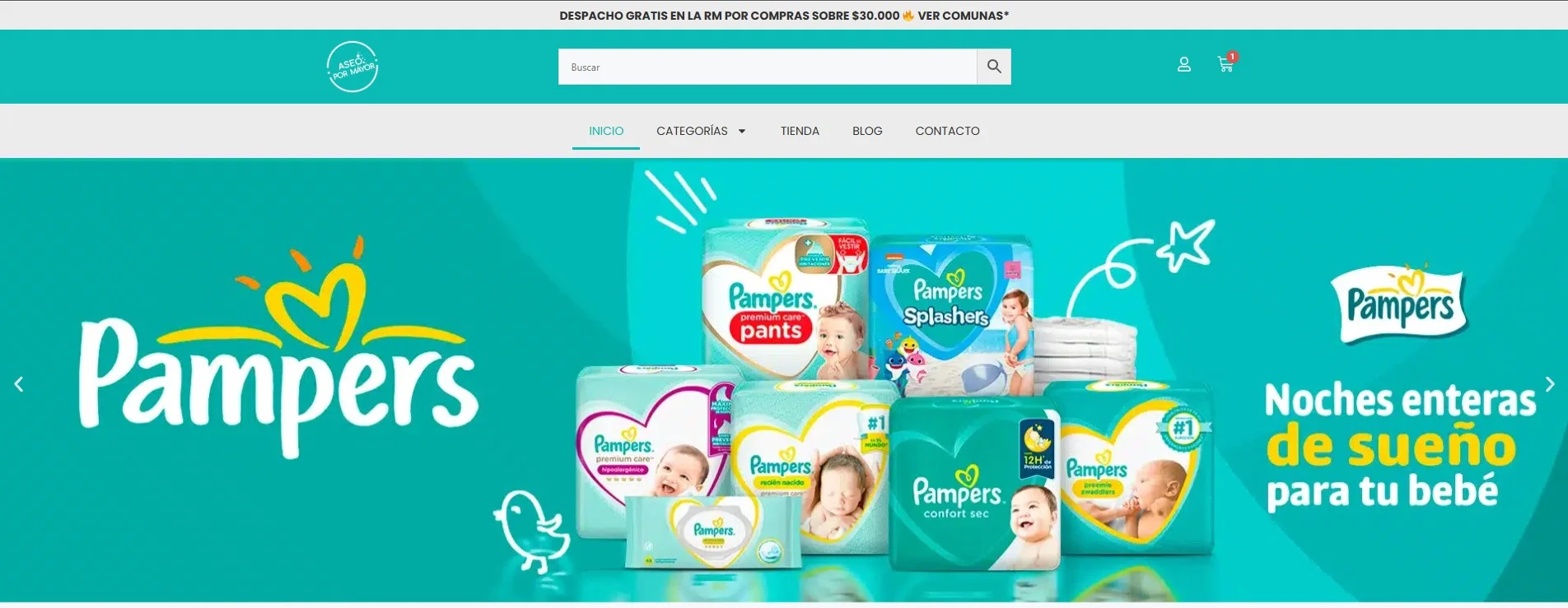 AseoPorMayor.cl — E-commerce · Technical optimization
