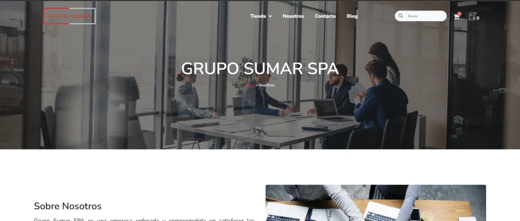 Grupo Sumar — Production website